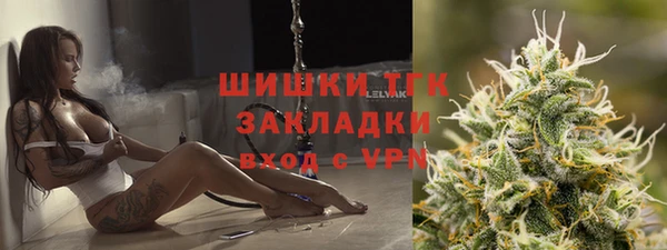 гидра Алексеевка