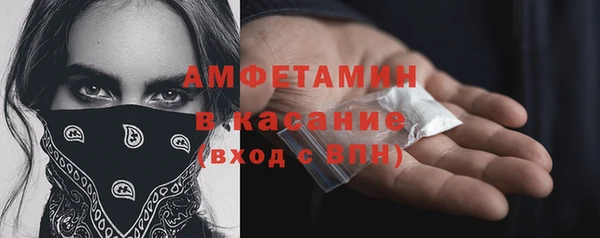 гидра Алексеевка