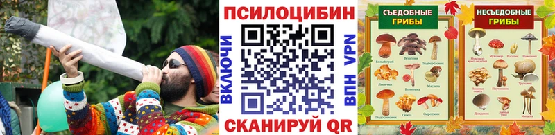 хочу гидра онион Галлюциногенные грибы Psilocybine cubensis Дюртюли